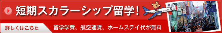 �ڹ�û�������顼���å�α�إ������ȡ���α�س��񡢹Ҷ����¡��ۡ��ॹ�ƥ��夬̵������