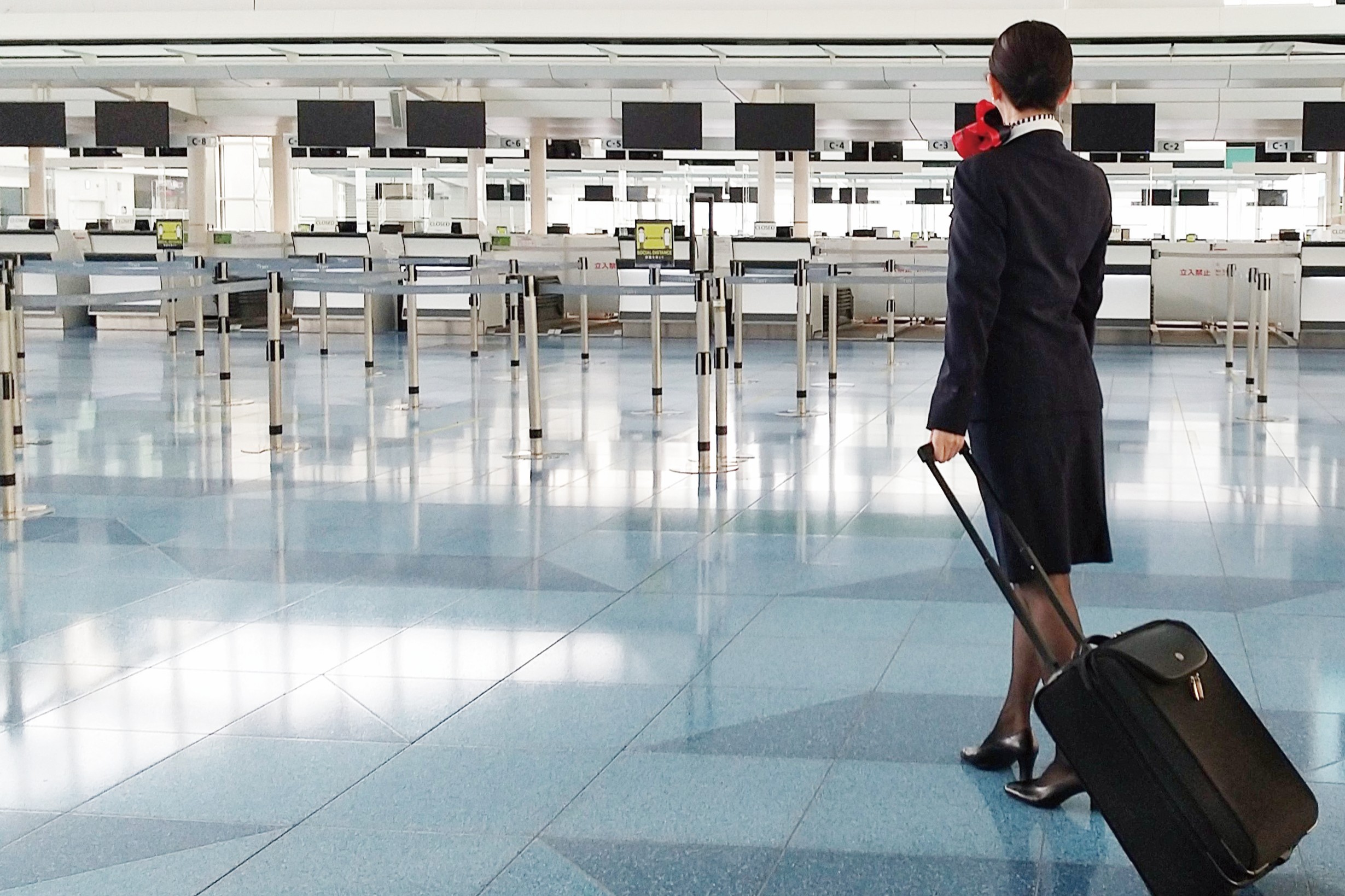 キャビンアテンダント