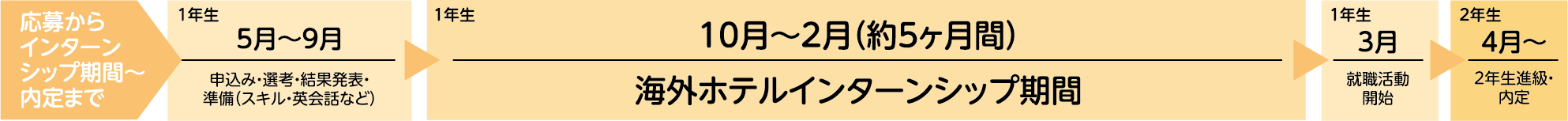 応募からインターンシップ期間、内定まで