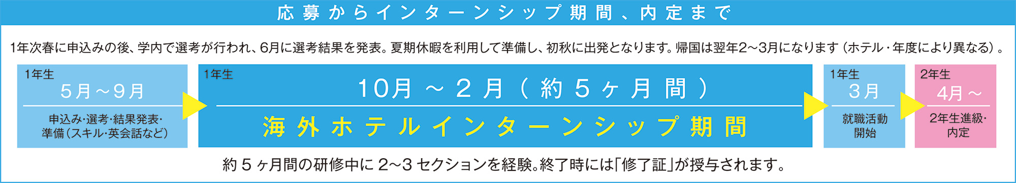 応募からインターンシップ期間、内定まで