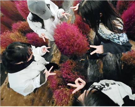 出さん 扇町総合(現・桜和)高等学校(大阪府)出身