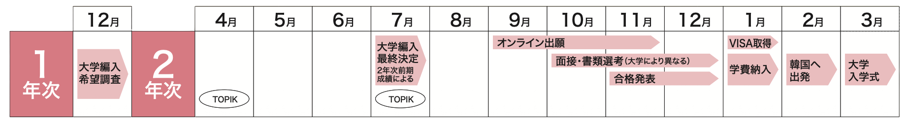 韓国への正規留学（大学3年次編入学）までのスケジュール ※3月入学の場合