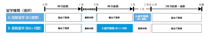留学スケジュール(予定)