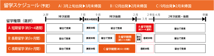 留学スケジュール(予定)