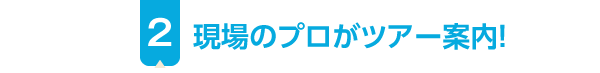 現場のプロがツアー案内！