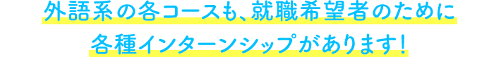 外語系の各コースも、就職希望者のために各種インターンシップがあります！