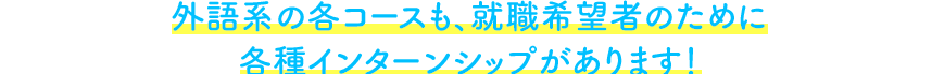 外語系の各コースも、就職希望者のために各種インターンシップがあります！